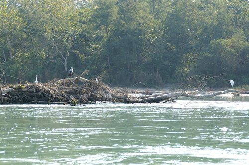 2005_nepaltrip_042